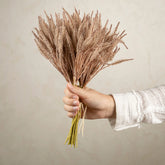 Petit bouquet de graminées pampas, marron clair