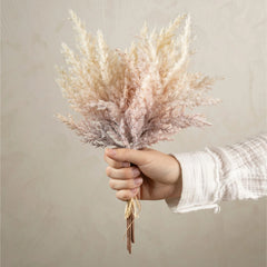 Bouquet de Pampas