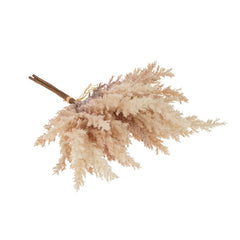Bouquet de Pampas