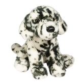 Mackay dalmatian