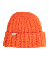 Beanie Ivy