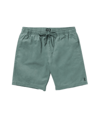 Larry Layback 19" Twill Shorts