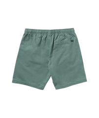 Larry Layback 19" Twill Shorts