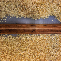 Favuzzi Pâtes Fregola