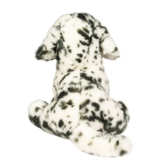 Mackay dalmatian