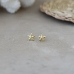 Glee Baby starfish studs