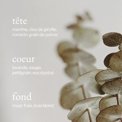 Soja & Co - Bain moussant | Eucalyptus, Menthe & Romarin