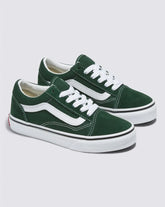 Vans Old Skool color theory mountain vie