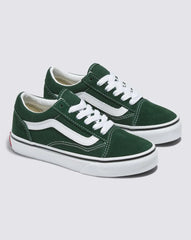Vans Old Skool color theory mountain vie
