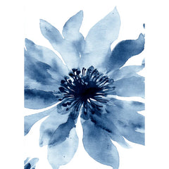 Cadre naturel 5x7 - 2 images