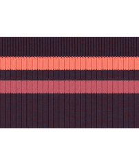 Women's Hike Light Cushion Tube Stripe Crew Socks