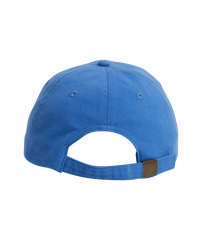 True Tides Dad Cap