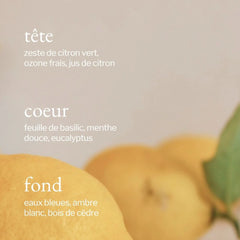 Soja & Co - Nettoyant tout usage Citron, Sauge et Romarin