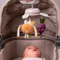 Mobile on-the-go jardin