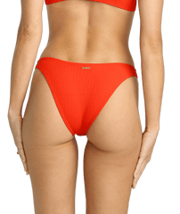 Hike Bikini Bottom