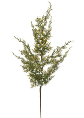 BRANCHE DE GÉNÉVIER PLST VERT 6X24