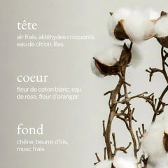 Soja & Co - Eau de linge | Coton blanc + Linge frais