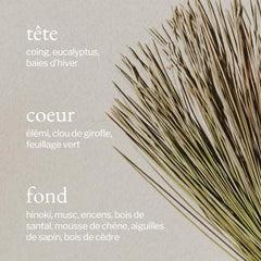 Soja & Co - Diffuseur à roseaux | Écorce de pin + Cèdre