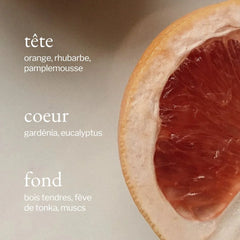 Soja & Co - Diffuseur à roseaux | Eucalyptus + Pamplemousse