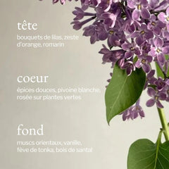 Diffuseur à roseaux | Lilas + Romarin