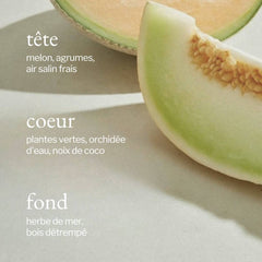 Soja & Co - Nettoyant tout usage | Melon + Air salin