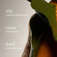 Soja & Co - Savon à mains liquide | Tangerine, antal et ambre
